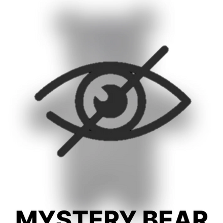 Custom Bear - 'Mystery Reveal'